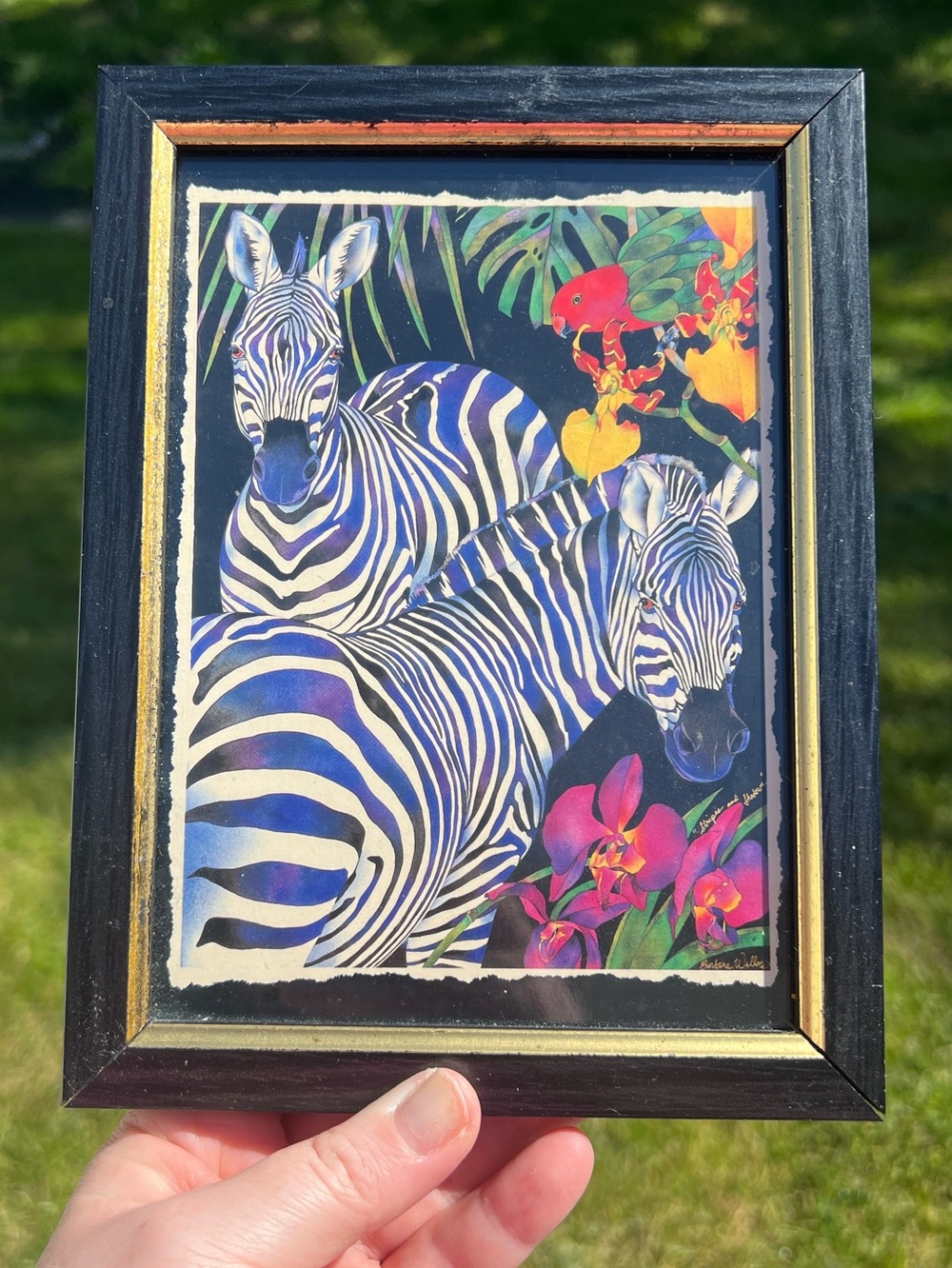 Barbara Wallace Colorful Tropical Zebra Wall Art Framed Jungle Lithograph Print